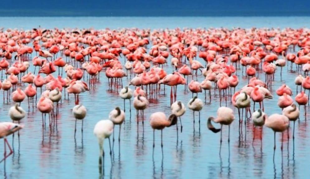 Lake Manyara National Park