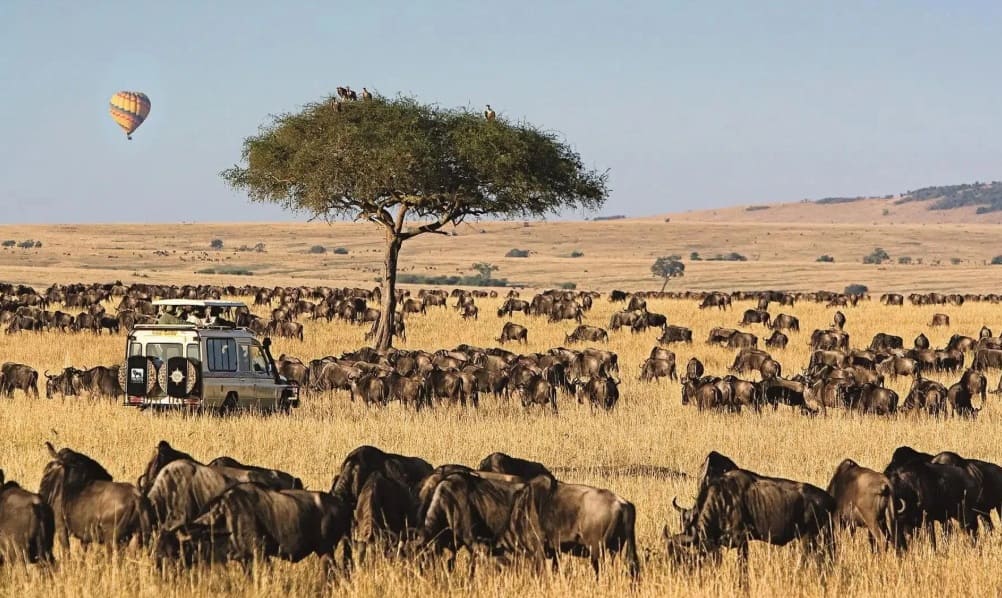 Serengeti National Park