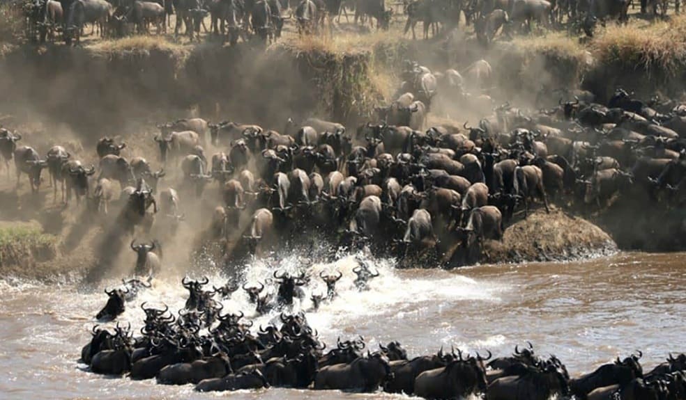 Serengeti National Park
